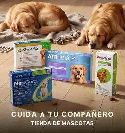 Catálogo Falabella Página 6