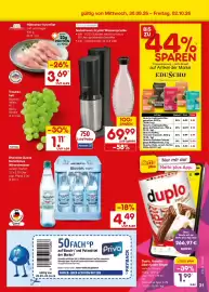 Netto Marken-Discount Prospekt Seite 49