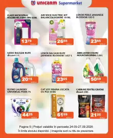 Catalog Unicarm Pagină 11: Ariel lichid color mountain spring €50,59, Gerab cărbuni de grătar €21,25