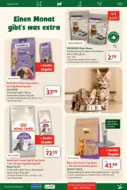 Fressnapf Prospekt Seite 18