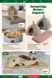 Fressnapf Prospekt Seite 20