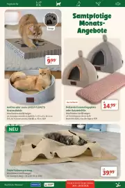 Fressnapf Prospekt Seite 20