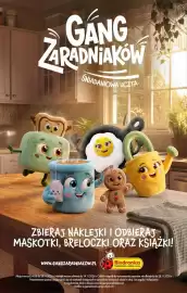 Biedronka gazetka Strona 1