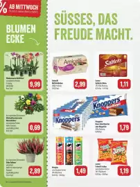 Feneberg Prospekt Seite 8