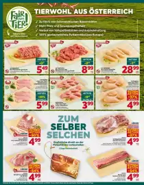 Billa Corso Flugblatt woche 39 Seite 8
