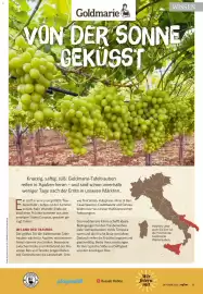 Famila Nord West Magazin Seite 55