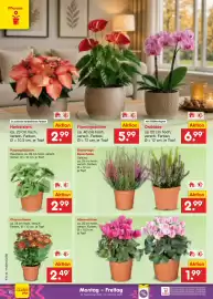 Netto Marken-Discount Prospekt Seite 6