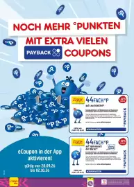 Netto Marken-Discount Prospekt Seite 66