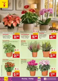 Netto Marken-Discount Prospekt Seite 6