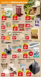 Thomas Philipps Prospekt woche 40 Seite 13: Vogelfutter Fettfutter €2,99, Khan Hundefutter €1,11