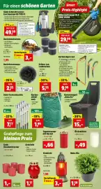 Thomas Philipps Prospekt woche 40 Seite 3: Hebe-Mix €1,59, Solar-Gartenleuchte €7,77