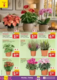 Netto Marken-Discount Prospekt Seite 6