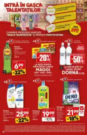 Catalog PROFI săptămâna 39 Pagină 12: Head&Shoulders sampon €25,99, Mr. Proper detergent universal €19,99