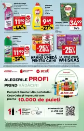 Catalog PROFI săptămâna 39 Pagină 14: Domestos power foam €11,59, Pur detergent de vase pur €9,49