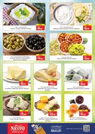 Nesto catalogue Page 18