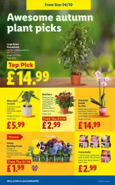 Lidl leaflet week 40 Page 32
