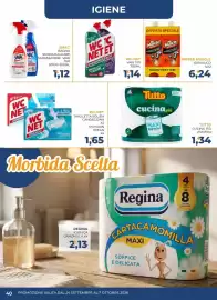 Volantino Moderna Pagina 40: WC NET Tavoletta solidacandeggina €1,65, Smac sgrassatore €1,12
