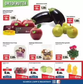 Volantino Coop Trentino Pagina 2: Melange Abbasciano €2,39, Ciclamino fiore grande €2,59