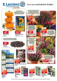 E.Leclerc gazetka | Promenady Wroclawskie Strona 1: Kalendarz zdzierak Koty/Psy Art Sezon €23,99