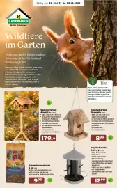 Salzburger Lagerhaus Flugblatt Seite 1