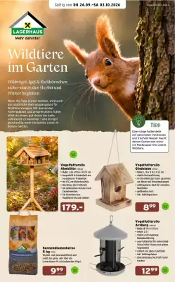 Salzburger Lagerhaus (gültig bis 3-10)