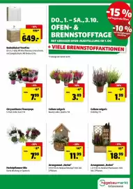 Der Grissemann Flugblatt woche 39 Seite 11: Calluna vulgaris Beauty Ladies. Quattro. T14. €3,49, Arrangement „Herbst“ €11,99