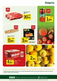 Folleto Dialprix Página 16: Alteza salmón ahumado €3,35, Barra integral 100% €0,80