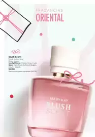 Catálogo Mary Kay Página 18