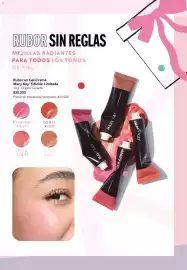 Catálogo Mary Kay Página 51