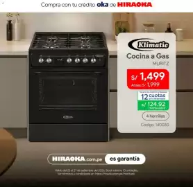 Catálogo Hiraoka Página 6