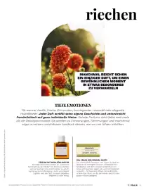 Müller Flugblatt Seite 21