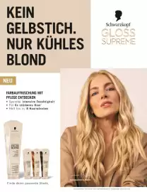 Müller Flugblatt Seite 39