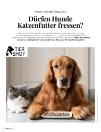 Müller Flugblatt Seite 84