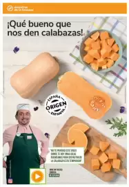 Catálogo Consum Página 16