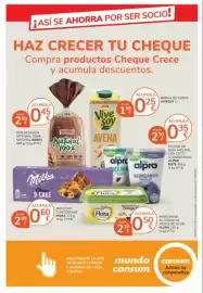 Catálogo Consum Página 24