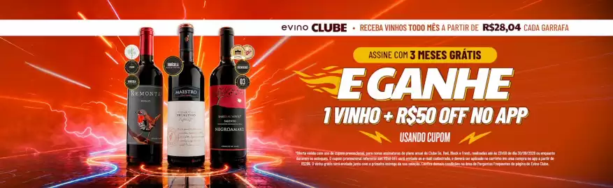Catálogo Evino Página 9