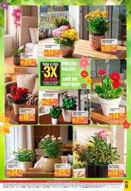 Encarte Muffato Página 2: Orquídea - pimientos pote 12ucidade €29,99, Único - roseira pote 13 €24,99
