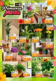 Encarte Muffato Página 1: Flor - lirio orange €32,99, Samambaia americana unidade €19,99