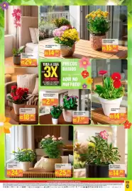 Encarte Muffato Página 2: Orquídea - pimientos pote 12ucidade €29,99, Único - roseira pote 13 €24,99