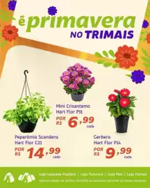 Catálogo Trimais Supermercado Página 1