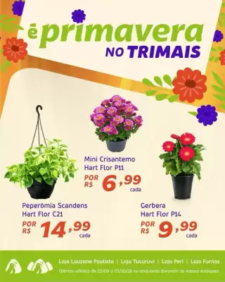 Catálogo Trimais Supermercado (válido até 1-10)