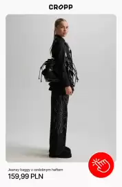 Cropp gazetka tydzień 39 Strona 8: Jeansy baggy z ozdobnym haftem Cropp €159,99