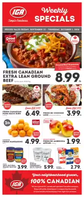 IGA flyer (valid until 1-10)