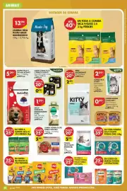 Folheto Pingo Doce semana 39 Página 30: Comida seca p/gato internutri €5,99, Purina one mini €5,24