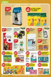 Folheto Pingo Doce | Açores Página 30: Comida seca p/gato internutri €5,99, Purina one mini €5,24