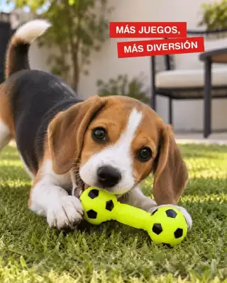 Catálogo Atomo Conviene (válido hasta 1-10)
