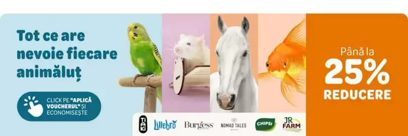 Magazine Zooplus Pagină 4