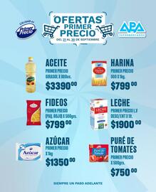 Catálogo APA Supermercados semana 39 Página 10