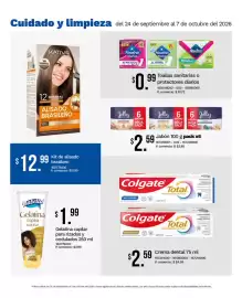 Catálogo Tia Página 15: Isabell Gelatina capilar Crash Final €1,99, Nosotras Toallas sanitarias o protectores diarios €0,99