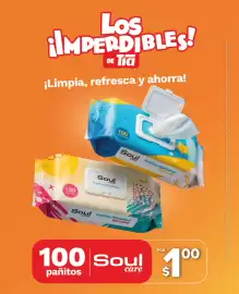 Catálogo Tia Página 20: Soul care Pañitos Húmedos €1,00